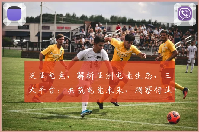 泛亚电竞，解析亚洲电竞生态，三大平台，共筑电竞未来，洞察行业动态，引领潮流趋势。